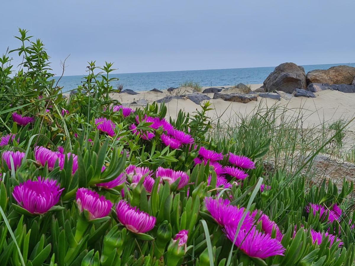 Camping Les Sables D'Or Cap D'Agde Le Grau-dʼAgde 外观 照片